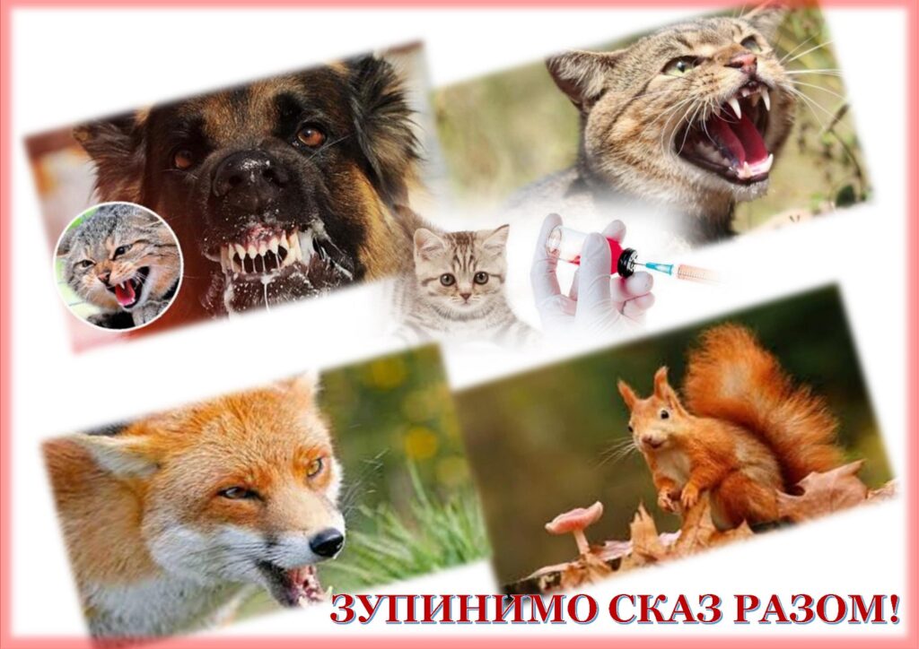 Профілактика сказу Профілактика сказу