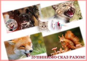 Профілактика сказу Профілактика сказу