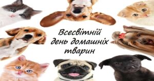 День домашніх тварин День домашніх тварин