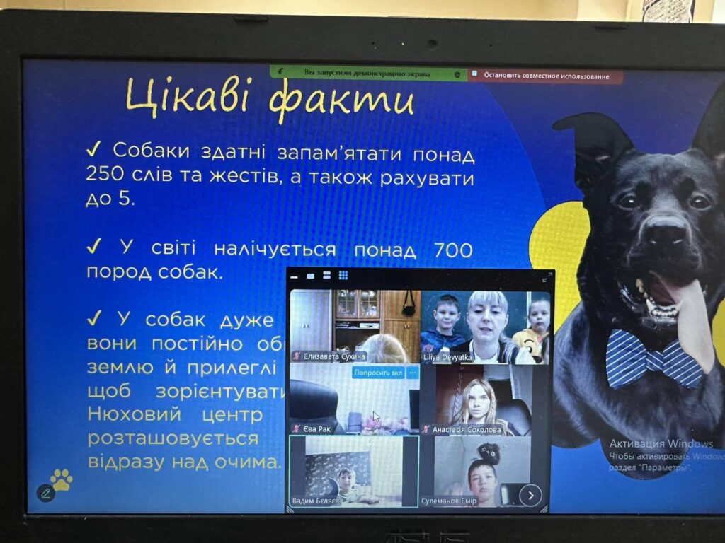 День домашніх тварин День домашніх тварин