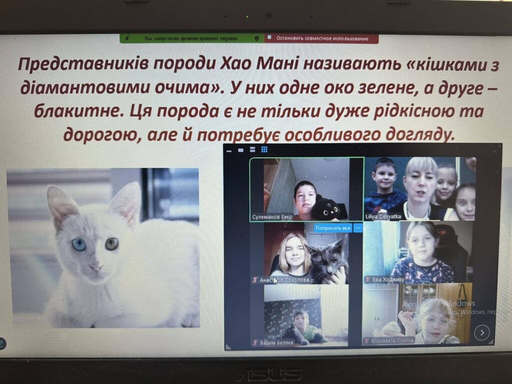 День домашніх тварин День домашніх тварин