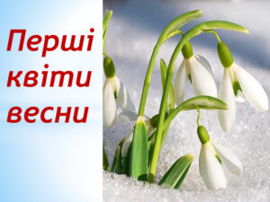 Першоцвіти