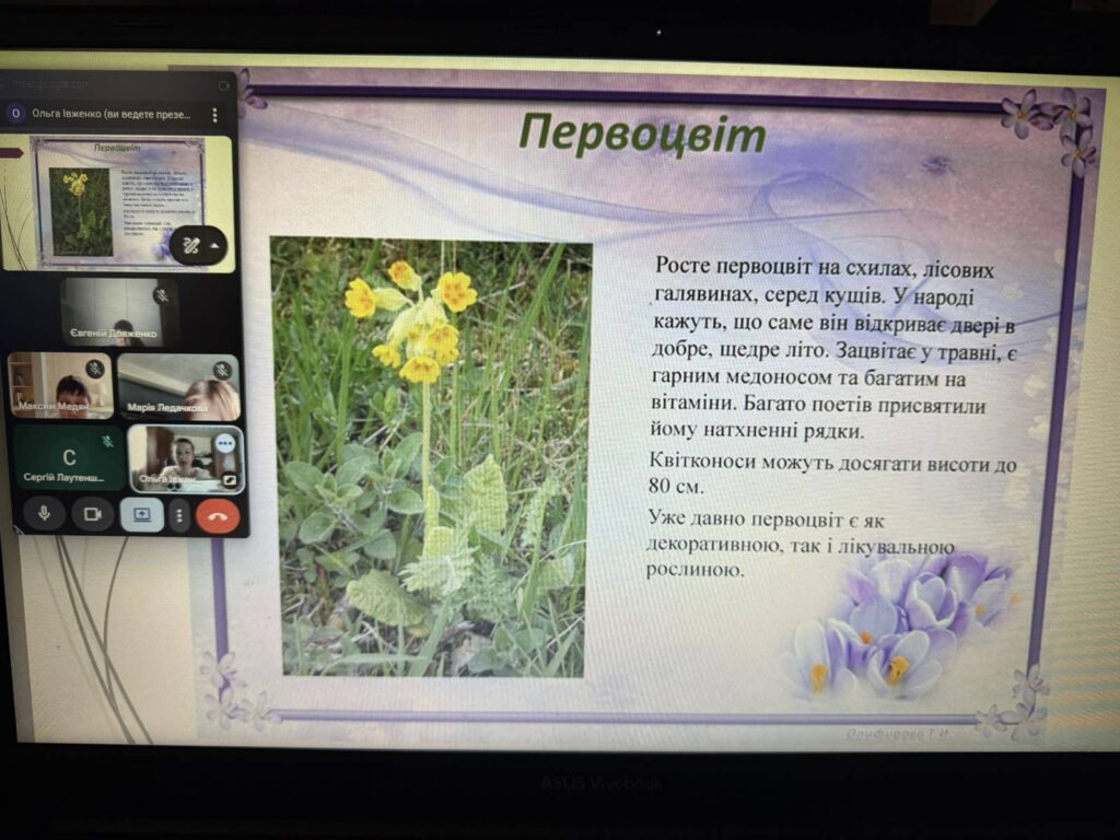 Першоцвіти Першоцвіти