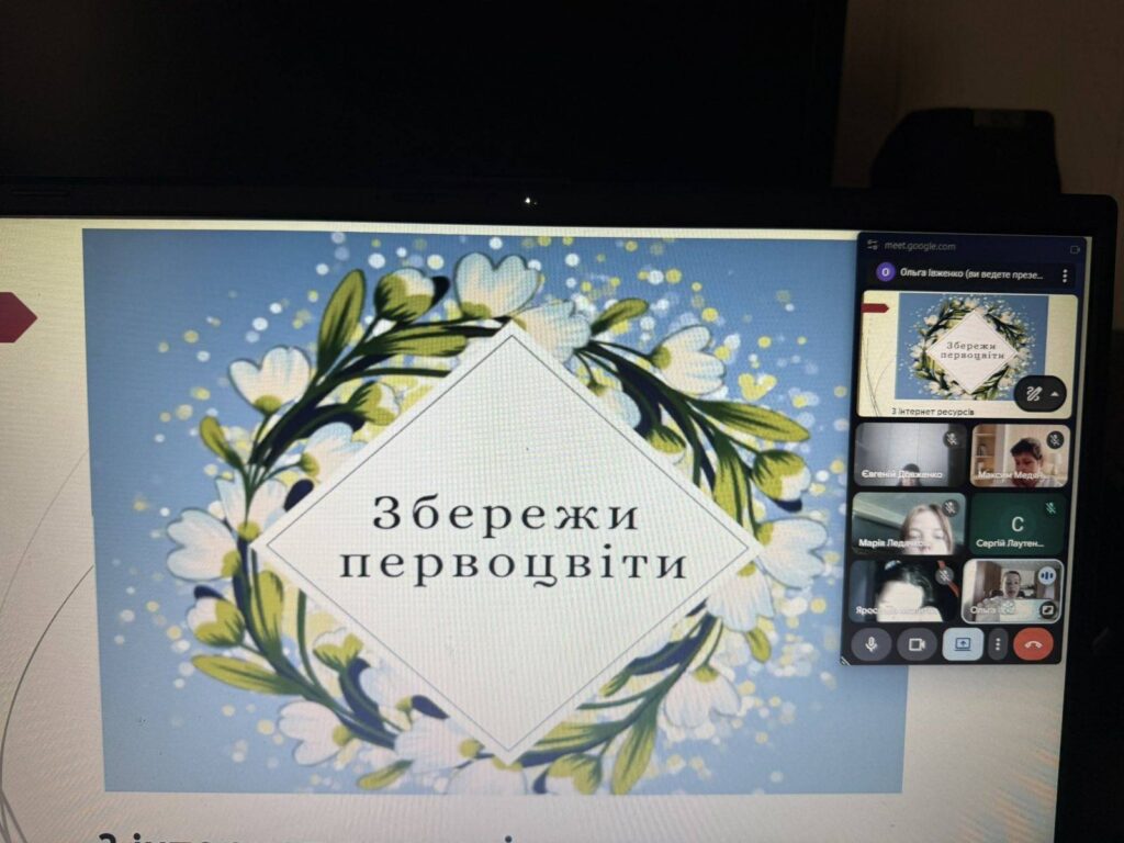 Першоцвіти Першоцвіти